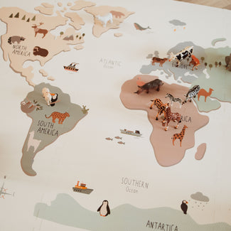 EEVAA 3-in-1 – Worldmap Colour Design