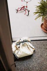 worldmap colors toy storage bag and playmat, closed bag in front of the window, tricycle